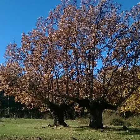 El Refugio Del Dragon Condominio