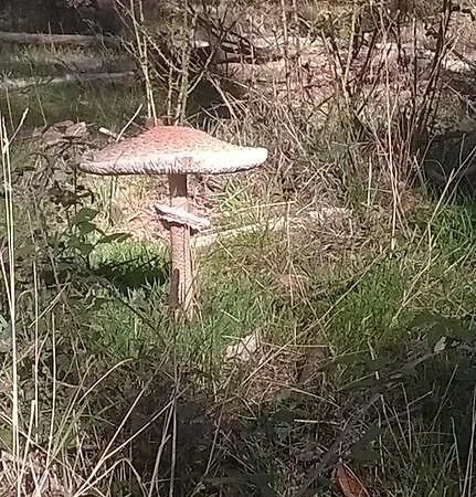 Condominio El Refugio Del Dragon