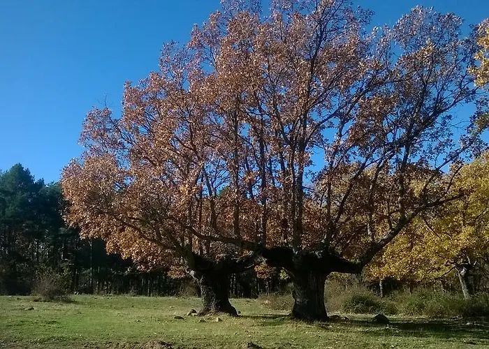 El Refugio Del Dragon Hotel condo