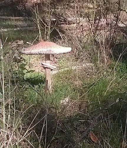 Hotel condo El Refugio Del Dragon