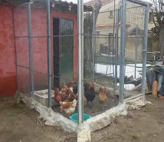 El Refugio Del Dragon